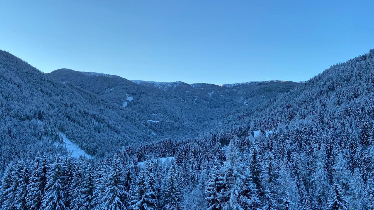 Bergblick Ruhe Und Aussicht Auf 1100M Apartment Sankt Lorenzen ob Murau Exterior photo